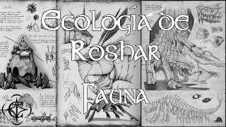 Ecología de Roshar Fauna [upl. by Arlon]