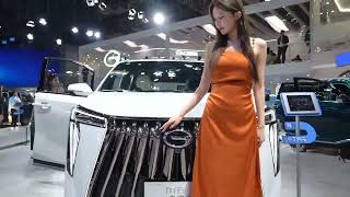 Autoshow Beijing 2024 [upl. by Nilrac]