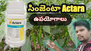 Syngenta Company Actara Insecticide Telugu  Thiamethoxam 25WG  My Wildlife Agriculture Telugu [upl. by Saraiya203]