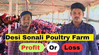 Desi Sonali Poultry Farm For Egg Production  Poultry Farming  Desi Murgi Farm [upl. by Llejk]