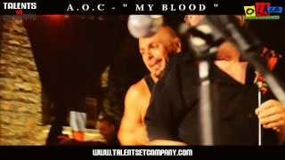 AOC  quot MY BLOOD quot  BAIXAS [upl. by Airogerg]