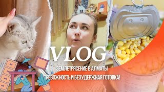 VLOG Землетрясение в Алматы  Тревожность и безудержная готовка [upl. by Alisa]