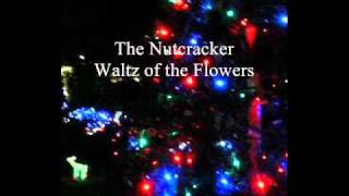 10人小吹奏楽でくるみ割り人形「花のワルツ」 The Nutcracker 77 Waltz of the F [upl. by Yhtac]