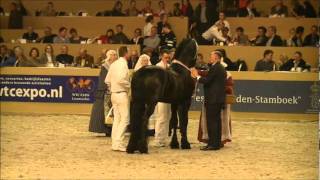 de Finale  Friese Hengstenkeuring KFPS WTC EXPO Leeuwarden 2012 [upl. by Rayford155]