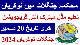 wildlife jobs 2024forest department jobs 2024latest jobs 2024Punjab forest department jobs 2024 [upl. by Ynittirb]