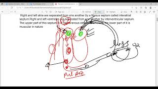 Overview of Cardiovascular system  cardiology physiology usmle  cardiovascular system  lec6 [upl. by Ecirtap]