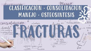 FRACTURA CONSOLIDACION OSTEOSINTESIS YESO CALLOBLANDO CALLODURO [upl. by Nauhs12]