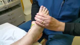 Mobilising MidTarsal Joint of foot [upl. by Alhahs96]