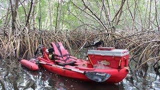 Weedon Island Adventure [upl. by Ttoille194]