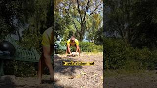 Rueda abdominal calisthenics plancha plank deporte [upl. by Sirenay]