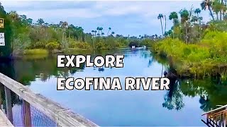 Ecofina River State Park  Unseen Florida [upl. by Enialahs]