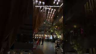 Bangalore One Of The Biggest Breweries  Ironhill 🍺 bangalore trending shorts viralvideo [upl. by Papotto]