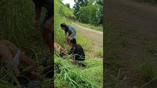 Tuhod sa kalibunan khemyattv funny sancarlosviners comedyclips justforfun comedyvideos comedy [upl. by Tamarah85]