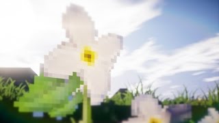 Minecraft Shader Tutorial  How To Enable DOF SEUS V102 Prev 1  60fps [upl. by Hedy109]