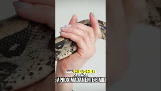 Descubre la Titanoboa La Serpiente Gigante de la Selva Amazónica [upl. by Berky556]