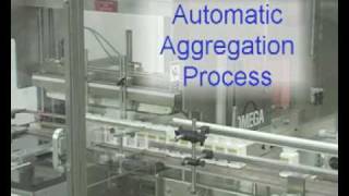 Serialization Process for the Pharmaceutical Packaging Line [upl. by Loughlin]