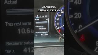 ODOMETRO TRIPA TRIPB usos y funciones automobile [upl. by Bliss]