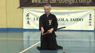 Iaido 2010 [upl. by Micky522]