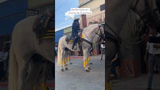 Desfile de caballos en oriente de Guatemala para feria ganadera [upl. by Lederer]