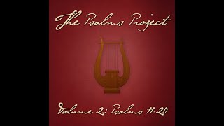 Psalm 14 The Fool Has Said feat Seth Dekkenga  The Psalms Project [upl. by Fiester]