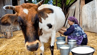 Cooking Healthy and Delicious Dishes from Fresh Milk Life in the Village [upl. by Northway]