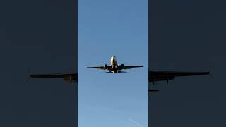 United 737700 landing at Newark Liberty Airport [upl. by Silvestro]