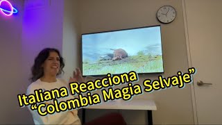 Italiana Reacionando al Documentario “Colombia Magia Selvaje” colombia italian reaction reaccion [upl. by Ahsiemac675]