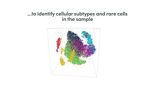 How it Works  Chromium Single Cell Gene Expression Solution [upl. by Notsirhc672]