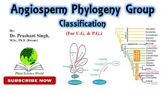 Angiosperm Phylogeny Group APG Classification For UG amp PG [upl. by Yager544]