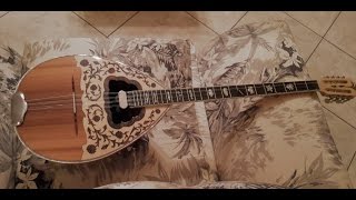 Themis Bouzouki  Nikos Vertis  Na magapas  greek music [upl. by Ebony]