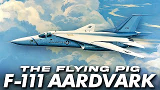 F111 Aardvark The Flying Pig [upl. by Alderman612]