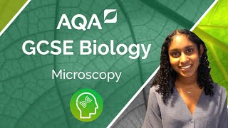 AQA GCSE Biology Microscopy [upl. by Enert]