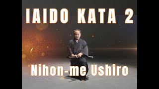 Iaido Kata 2  Nihonme Ushiro  Practice and Follow along [upl. by Blase]