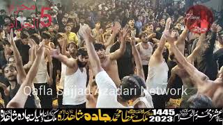 5 Muharram al Haram 2023  zawar Zeeshan Haider Noha khan  jadda shahdra town lahore 2 [upl. by Woodie]