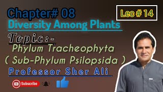 Phylum Tracheophyta Psilopsida chapter 8th by Professor Sher Ali [upl. by Nywg897]