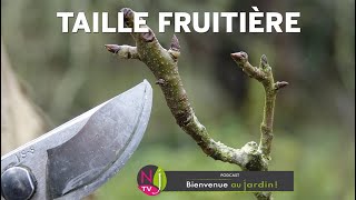 TAILLE DES POMMIERS ET POIRIERS  COMPRENDRE FACILEMENT MÉTHODE ET TECHNIQUE AVEC PATRICK ET ROLAND [upl. by Selrac]