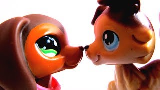 Littlest Pet Shop Popular Episode 18 Savannah SEASON 2 PREMIERE  Part 12 [upl. by Arola670]