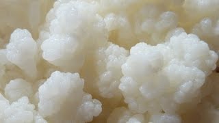 ¿Kefir o Yogur Natural aprenda a diferenciarlos [upl. by Zipnick]