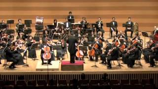 Elger  Concerto for Violoncello and Orchestra in E minor op85 2nd mov [upl. by Vernita]