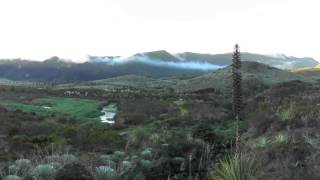 Asi suena el paramo Sonidos nocturnos del pantano de marctos [upl. by Gnof703]