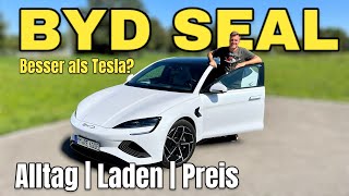 BYD SEAL Besser als das Tesla Model 3 AlltagsTest mit Ladeleistung  LFPAkku  BladeBatterie [upl. by Kennie]