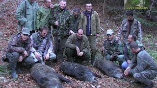 Lov i ribolov  Nacionalni park Sutjeska  Lov divlje svinje  Wild boar hunting [upl. by Cheke]