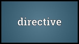 Directive Meaning [upl. by Lamiv141]