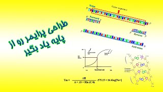مبانی تئوری طراحی پرایمر [upl. by Kask]