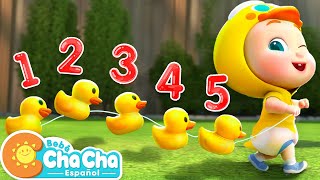 Cinco Patitos🦆  Aprender Números del 1 al 5  Bebé ChaCha Canciones Infantiles amp Videos para Niños [upl. by Landing]