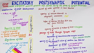 Excitatory Post Synaptic Potential EPSP  Easy Flowchart  Physiology [upl. by Martie497]