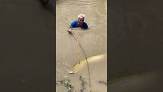 Amazing Fishing Battle For Massive Fish [upl. by Gagliano]