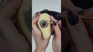 Preserving Beauty Ethical Fox Taxidermy Process 🌿taxidermy [upl. by Zaccaria]