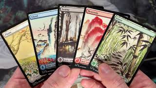 MTG Secret Lair Unboxing  MEDITATIONS ON NATURE [upl. by Lot]