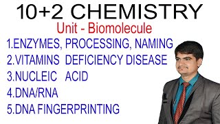 102 Chemistry ncert Biomolecule enzymes vitamins nucleic acid dna vs rna dna fingerprinting [upl. by Tolkan852]